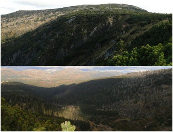Po czeskich Karkonoszach 12