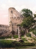 Chojnik