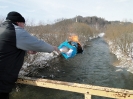 DSC01239_800x600