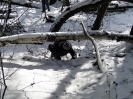 DSC01243_800x600