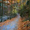 Remont mostu na Szklarce. Fot. Karkonoski Park Narodowy