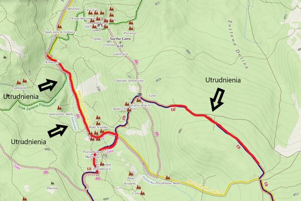 Utrudnienia w leśnictwie Janowice 